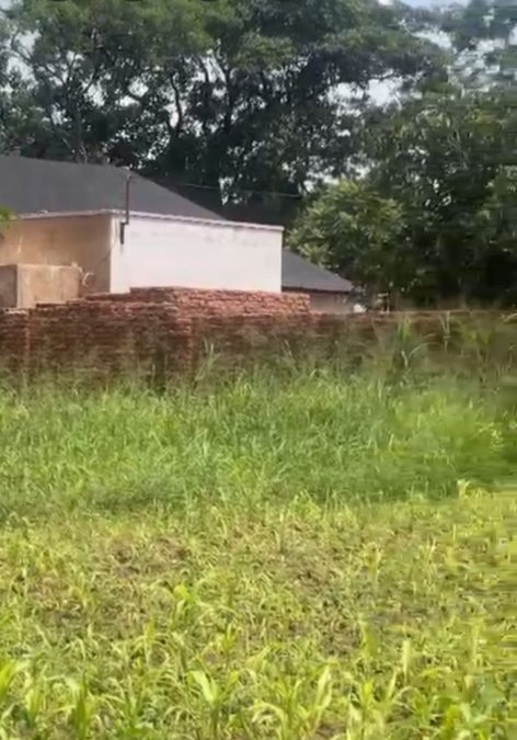 Prime Residential Plot for Sale at Chitipi