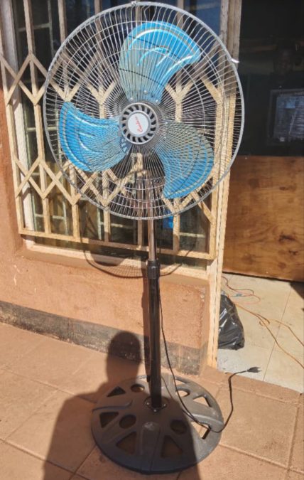 fan