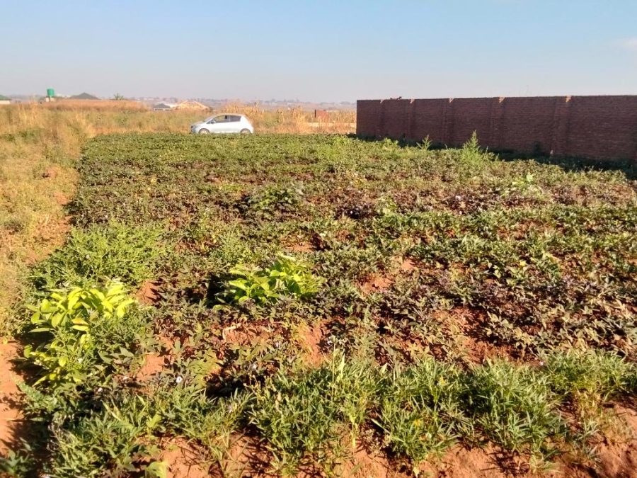 15x30 plot for sale  Airwing 4 ways