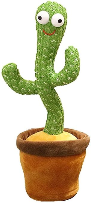 Cactus for kids