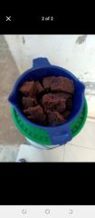 Plain cakes - Buy in Malawi