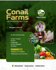 Pigs and pork for sale in Malawi