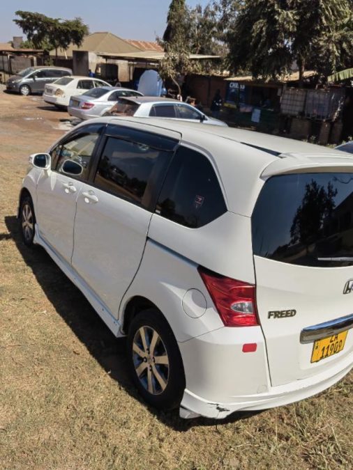 Honda freed