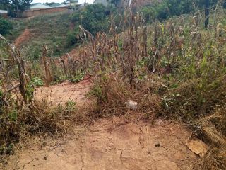 Plot for sale in Area 4, Mzuzu, Malawi