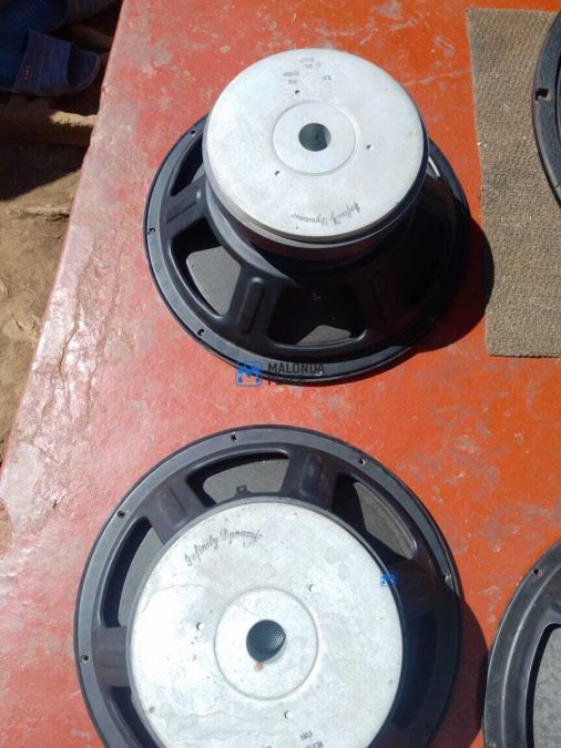 Infinity Dynamic 15" 1000 Watts