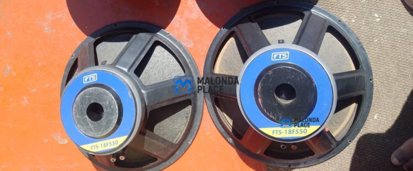 FTS 18" 550 Watts