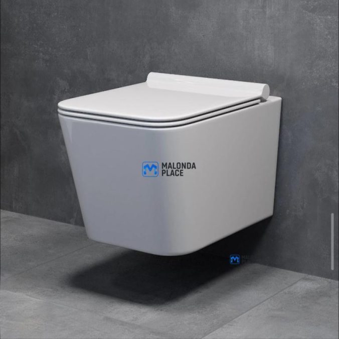 Vaal wall hang toilet