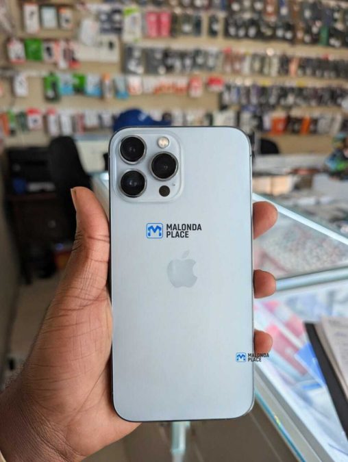 iPhone 13 Pro Max