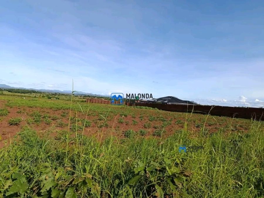 MULANJE MULOZA BOARDER NEAR CCAP