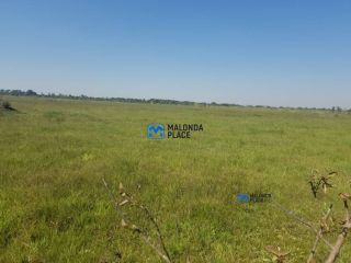 Dimba for sale - For Sale in Mchinji